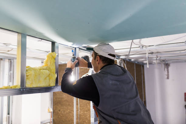 Best Garage Insulation Installation  in Lido Beach, NY
