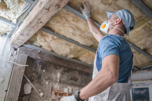 Best Attic Insulation Installation  in Lido Beach, NY