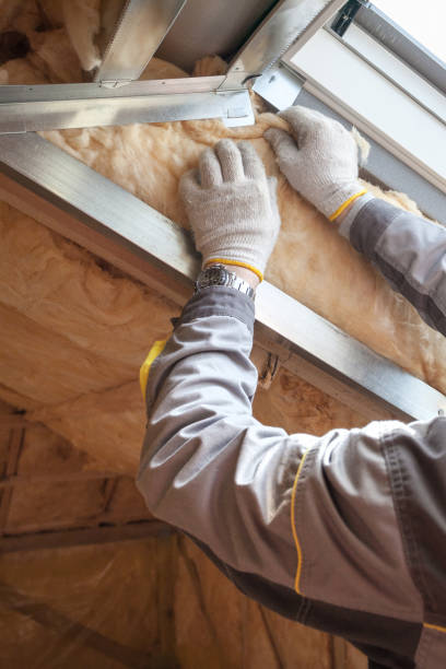 Best Attic Insulation Installation  in Lido Beach, NY