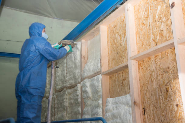 Best Crawl Space Insulation  in Lido Beach, NY