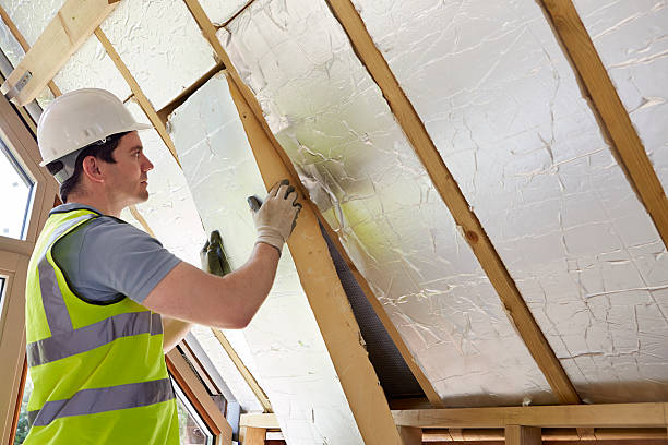 Best Professional Insulation Contractor  in Lido Beach, NY