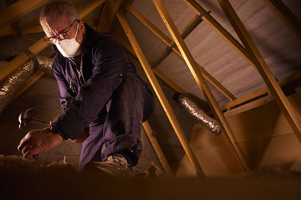 Best Spray Foam Insulation  in Lido Beach, NY