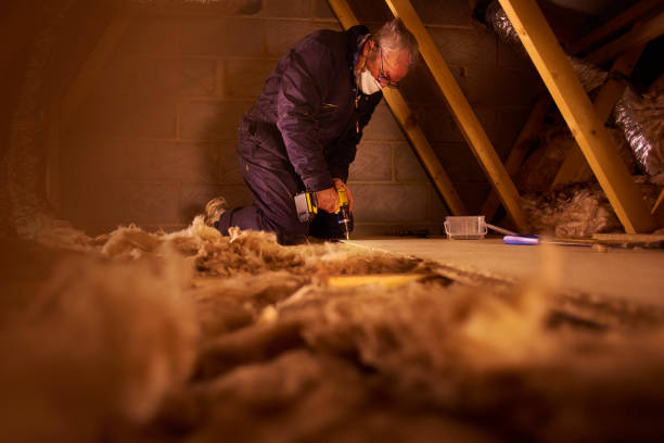 Best Insulation Replacement Services  in Lido Beach, NY