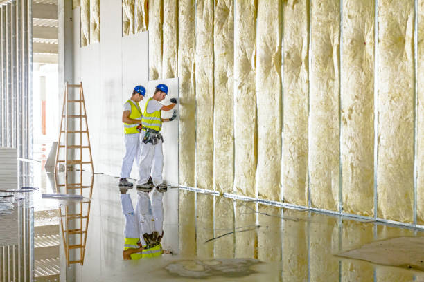Best Soundproof Insulation Installation  in Lido Beach, NY